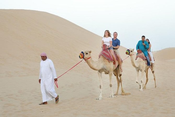 Dubai Red Dune Desert Safari: 4WD Bash, Camel Ride, BBQ, Shows - Chauffeured 4WD Dune Bash