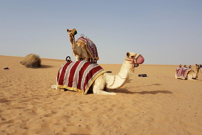 Dubai Red Dune Desert Safari: Camel Ride, Sandboarding & BBQ - Booking and Confirmation Process