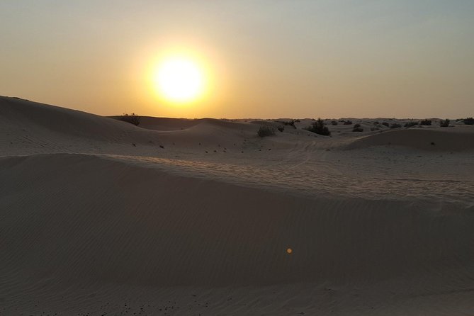 Dubai Red Dune Desert Safari: Camel Ride, Sandboarding & BBQ - Traveler Requirements and Restrictions