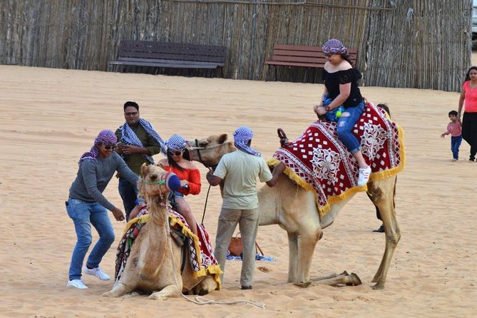 Dubai Red Dune Desert Safari: Camel Ride, Sandboarding & BBQ - Additional Information and Contact Details
