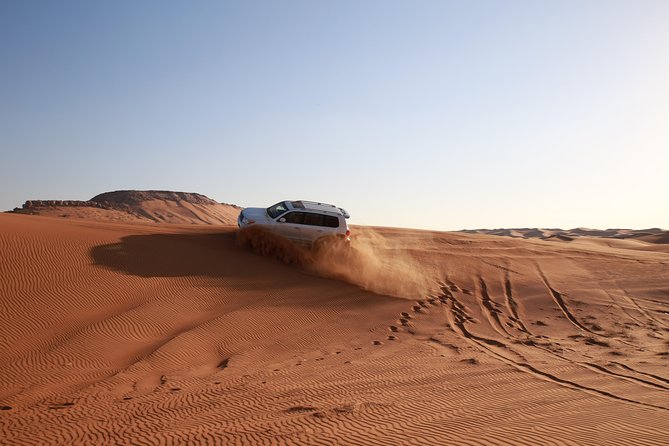 Dubai Red Dune Desert Safari: Camel Ride, Sandboarding & BBQ Options - Customer Experiences and Reviews
