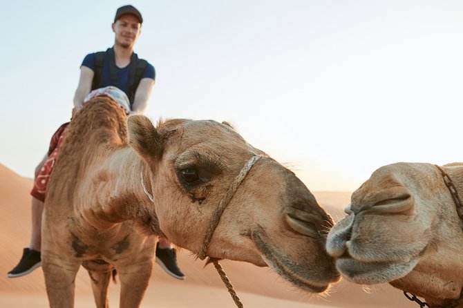 Dubai Red Dune Safari With Quad Bike, Sandboard & Camel Ride - Pricing and Guarantee