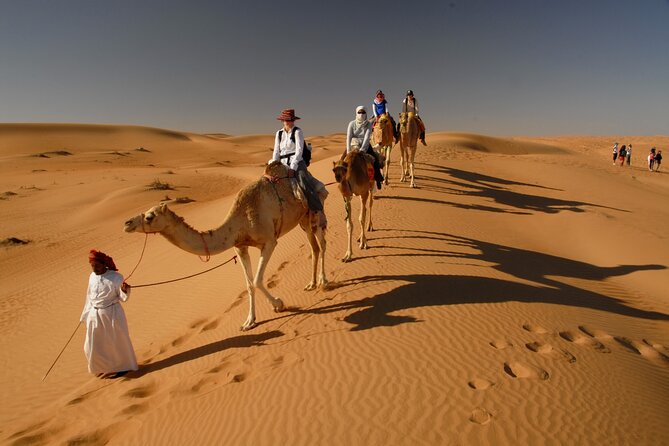 Dubai Red Dunes Desert Morning Adventure - Tour Details