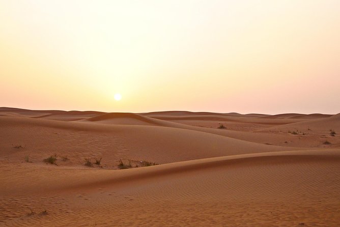 Dubai Red Dunes Desert Safari Adventure - Questions and Pricing