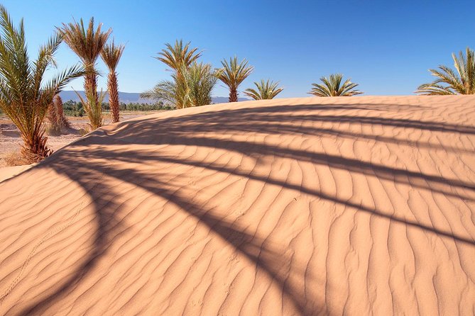 Dubai Red Dunes Desert Safari Adventure - The Sum Up