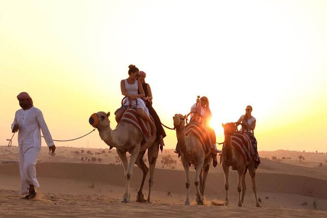 Dubai Red Dunes Desert Safari - Verified Reviews