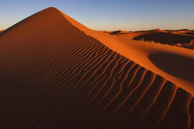 Dubai Red Dunes Desert Safari & Half Day City Tour - Tour Highlights