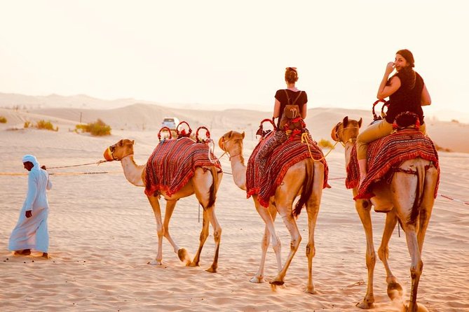 Dubai Red Dunes Desert Safari, With BBQ, Camel Ride, Sand Boarding And Much More - The Sum Up