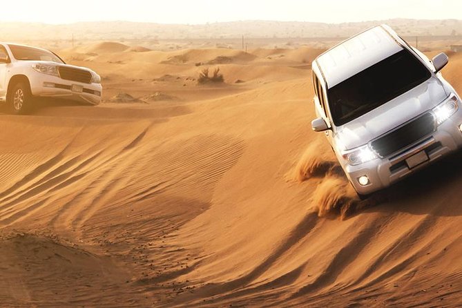 Dubai Red Dunes Safari, Camel Ride, Fire Show, BBQ Dinner - Thrilling Dune-Bashing Excursion