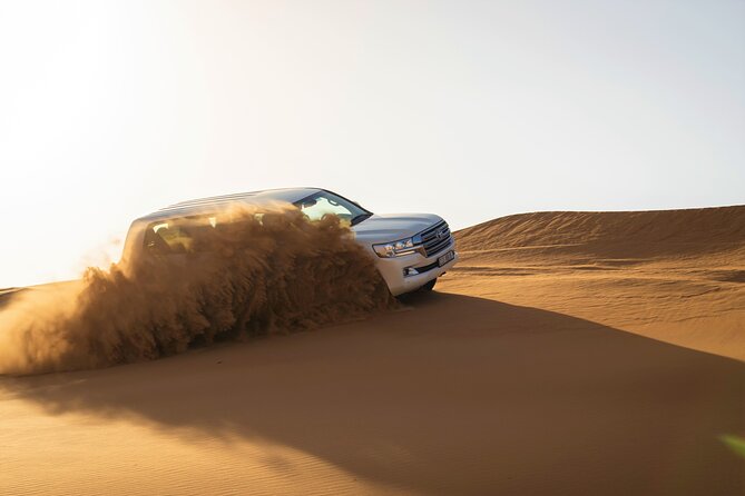 Dubai Red Dunes With Sandboarding, Camel Ride, Falcon & VIP Camp - Cancellation Policy for the Dubai Red Dunes Experience