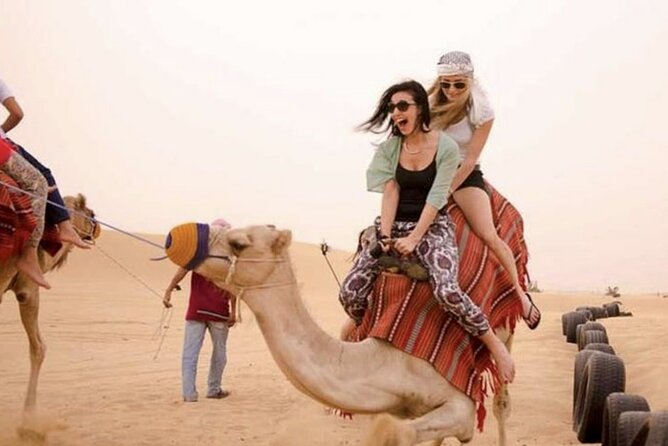 Dubai Royal Camel Race With Prime Seats & Short Camel Ride - Pricing and Value