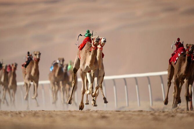 Dubai Royal Camel Race With Prime Seats & Short Camel Ride - Experience Overview