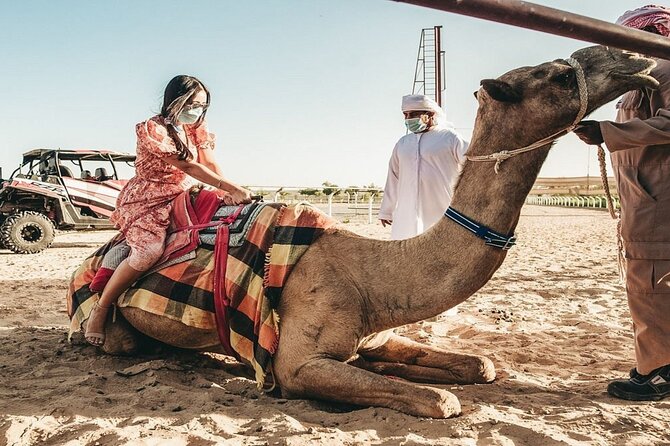 Dubai Royal Camel Race With Prime Seats & Short Camel Ride - What to Expect