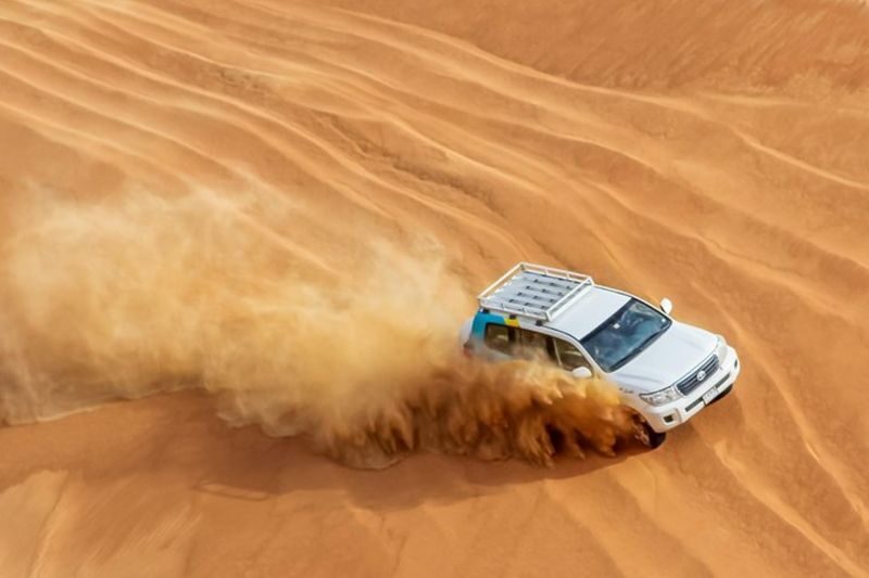 Dubais Sunrise Safari with Wildlife Experience or Morning Safari - Wildlife around Al Qudra Lakes