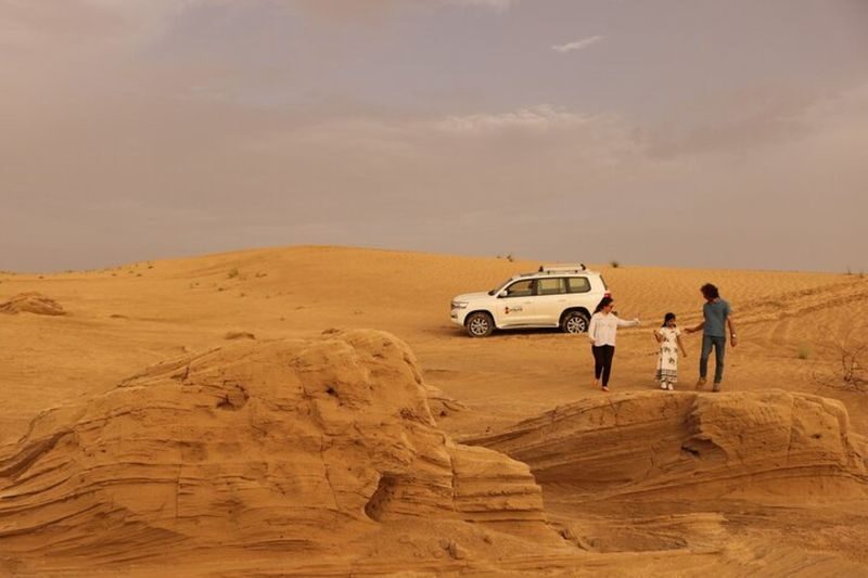 Dubais Sunrise Safari with Wildlife Experience or Morning Safari - Timing, comfort and the fine print