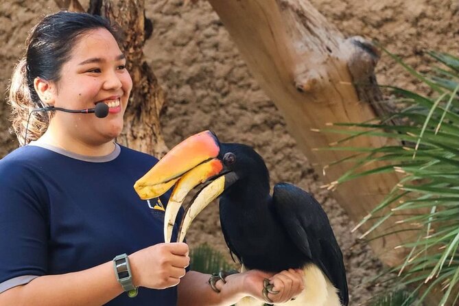 Dubai Safari Park Admission Only - Questions and Customer Support