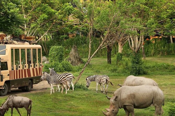 Dubai Safari Park - Important Guidelines