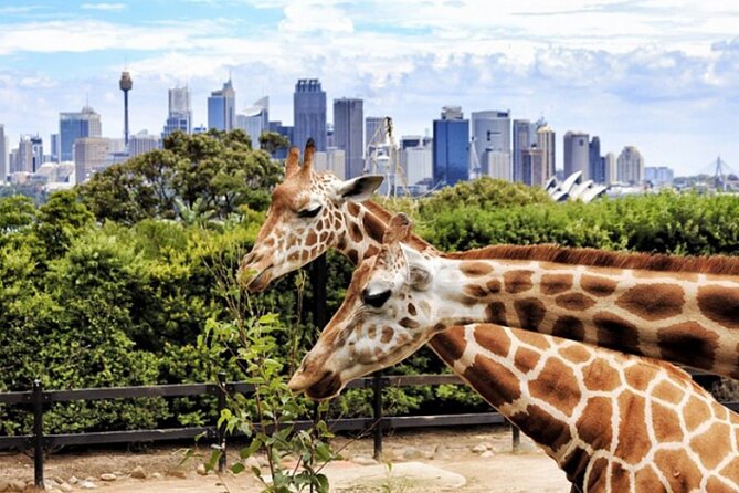 Dubai Safari Park - Cancellation Policy