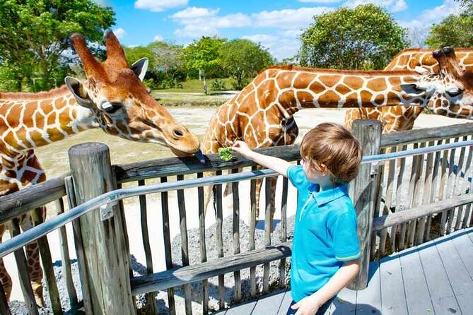 Dubai Safari Park Ticket - Location and Directions