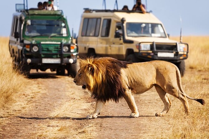Dubai Safari Park With Transfer - Reviews and Ratings From Travelers