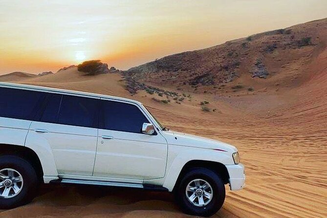 Dubai: Safari With Live BBQ Dinner, Camel Ride ,Live Performances - Camel Ride: Explore the Desert on a Traditional Mode of Transport