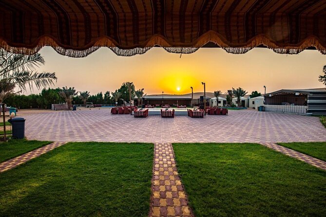 Dubai: Safari With Live BBQ Dinner, Camel Ride ,Live Performances - Live Performances: Witness Captivating Cultural Shows