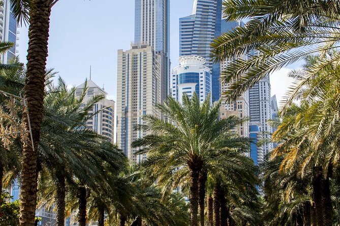 Dubai Sightseeing Tour (Private) - Reviews