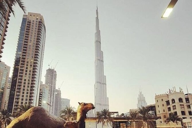 Dubai Sightseeing Tour (Private) - Pricing