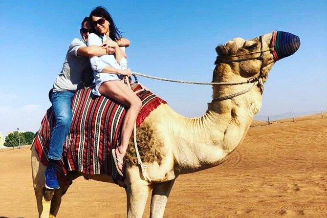 Dubai Small-Group Desert Safari With Activities - The Sum Up