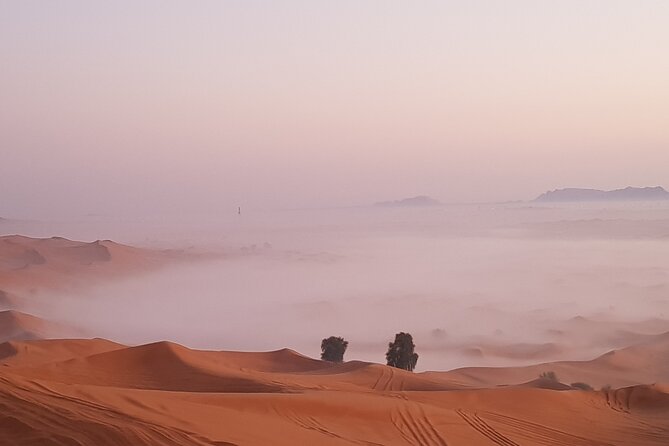 Dubai Sunrise Red Dunes Safari-( Private Tour ) - Booking and Requirements