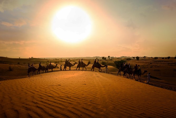 Dubai Sunset Camel Trekking With BBQ Dinner - What to Expect During the Camel Trekking Experience