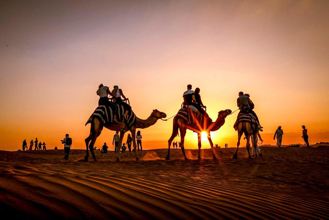 Dubai Sunset Camel Trekking With Shows & BBQ Dinner - Additional Info
