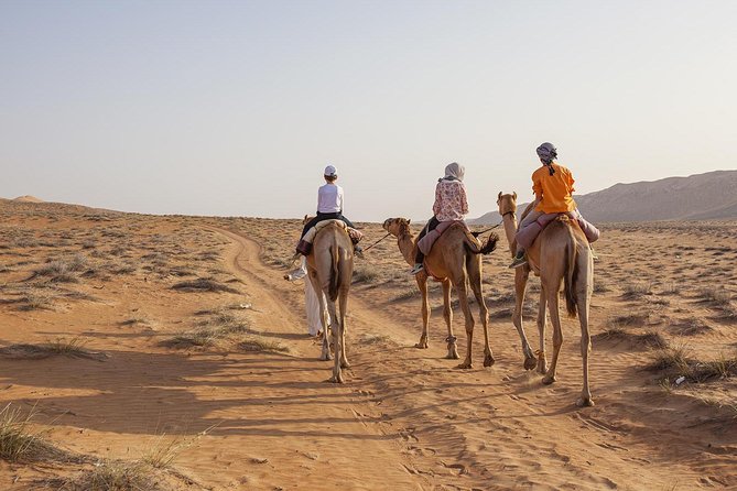 Dubai Sunset Camel Trekking With Shows & BBQ Dinner - Common Questions