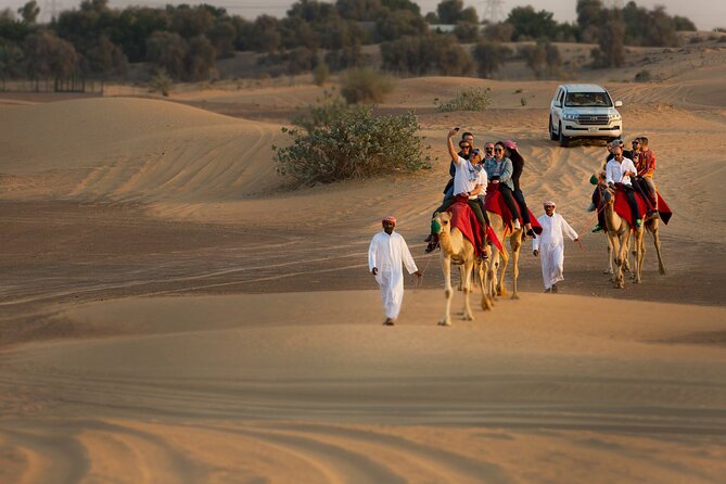Dubai Sunset Desert Safari With Dinner - Tips and Recommendations: What to Wear, Best Time to Visit, Booking in Advance