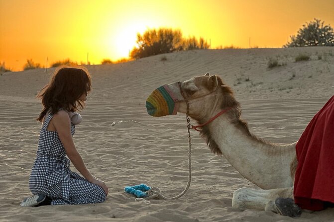 Dubai Sunset Red Dune Desert Safari, Sandboarding and Camel Ride - Common Questions
