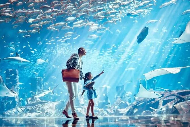 Dubai The Lost Chambers Aquarium Entrance Ticket - Booking Details