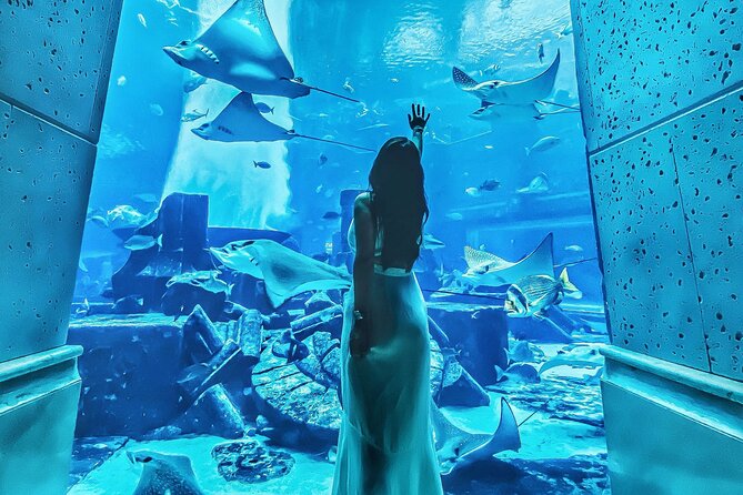 Dubai The Lost Chambers Aquarium Entrance Ticket - Terms and Conditions