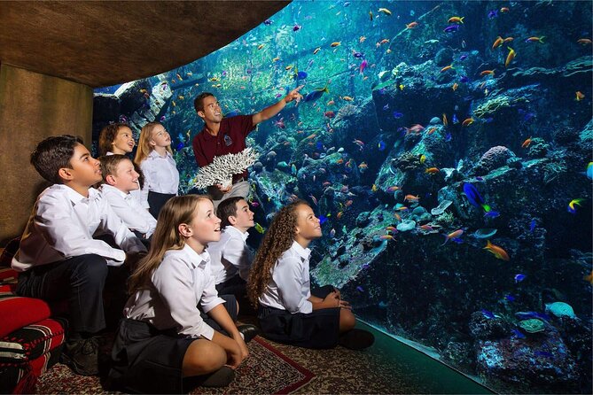 Dubai The Lost Chambers Aquarium Ticket - Highlights of the Dubai Aquarium Experience