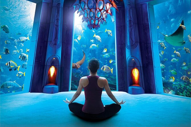 Dubai The Lost Chambers Aquarium Ticket - Ticket Pricing and Inclusions