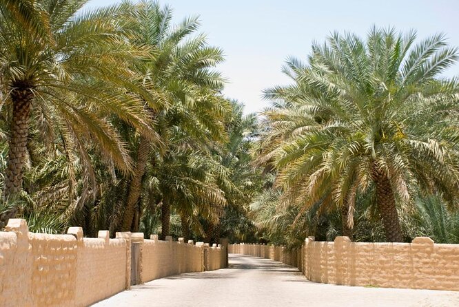 Dubai to Al Ain Private Tour a Journey From Sand to Lush Oasis. - Good To Know