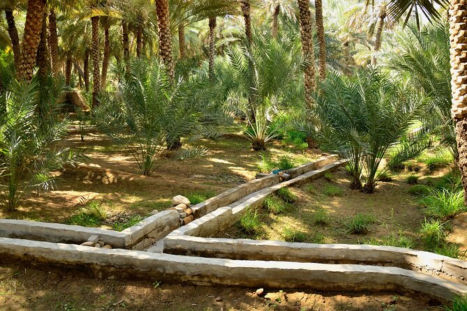 Dubai to Al Ain Private Tour a Journey From Sand to Lush Oasis. - Al Ain Palace Museum