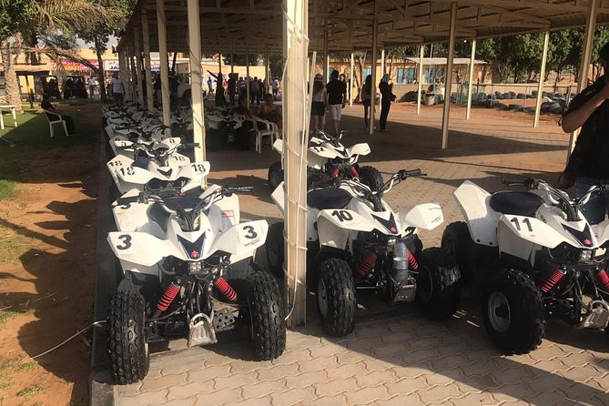 Dubai Top5 Tours: City Tour- Safari - Abu Dhabi - Dhow Cruise - Dibba Day Cruise - Dibba Day Cruise