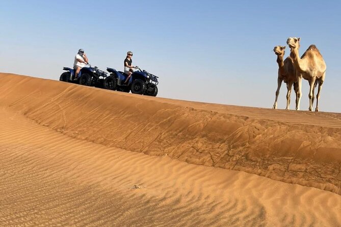 Dubai: Unique MORNING 4WD Red Dunes Safari Incl. 30min Quad Bike - Whats Included