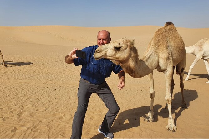 Dubai:Desert Safari BBQ Dinner, Dune Bashing,Camel&Sandboarding - Unforgettable Camel Ride Adventure