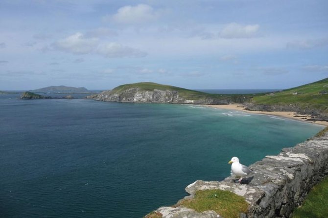 Dublin 5-Day Ireland Tour With Cliffs of Moher, Ring of Kerry - Tour Experience and Logistics