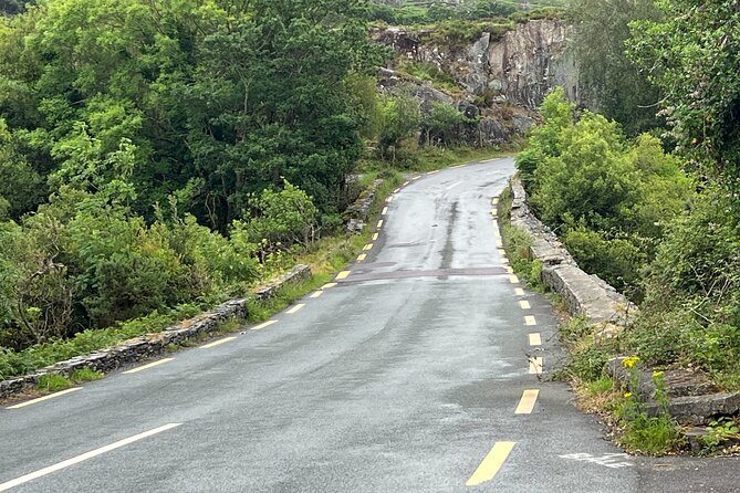 Dublin Airport Private Transfer: Dublin Airport to Killarney - The Sum Up