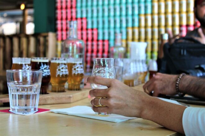Dublin: Authentic Brewery Tour - Brewery Tour Details