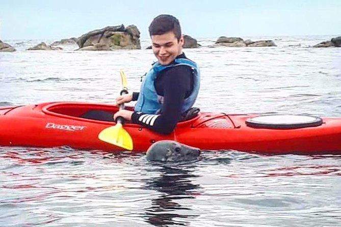Dublin Bay Seal Kayaking Safari at Dalkey - Experience Details