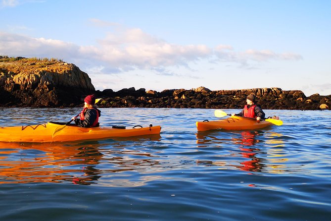 Dublin Bay Seal Kayaking Safari at Dalkey - Location and Accessibility
