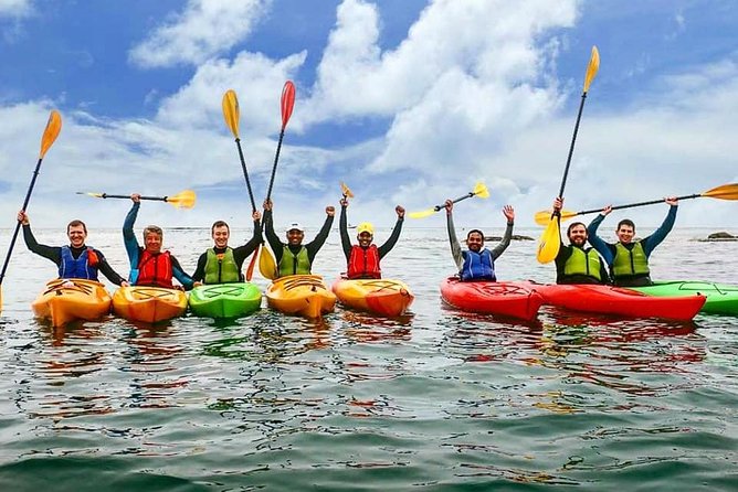 Dublin Bay Seal Kayaking Safari at Dalkey - Frequently Asked Questions